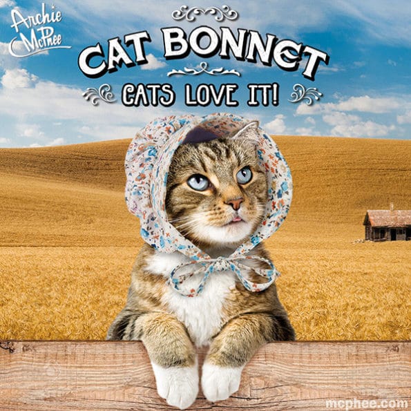 cat-bonnet-1