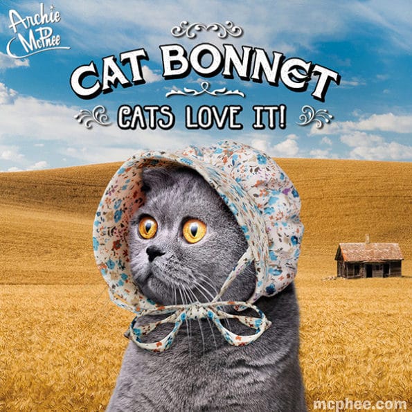 cat-bonnet-2