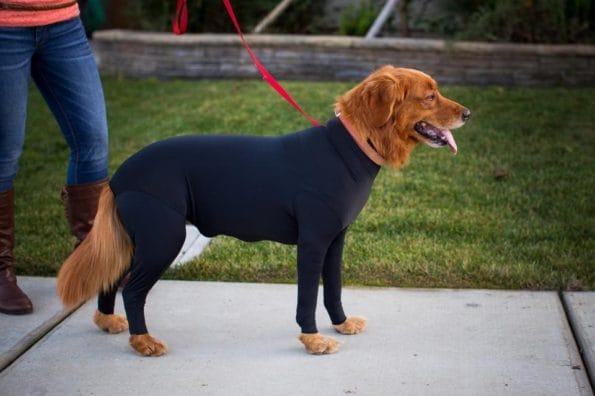 leotard-for-dogs-6