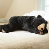 Bear Body Pillow