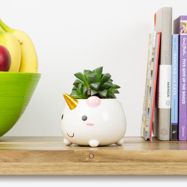 Here's The Unicorn Planter You've Always Dreamed Of