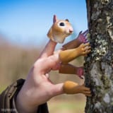 Handi Squirrel