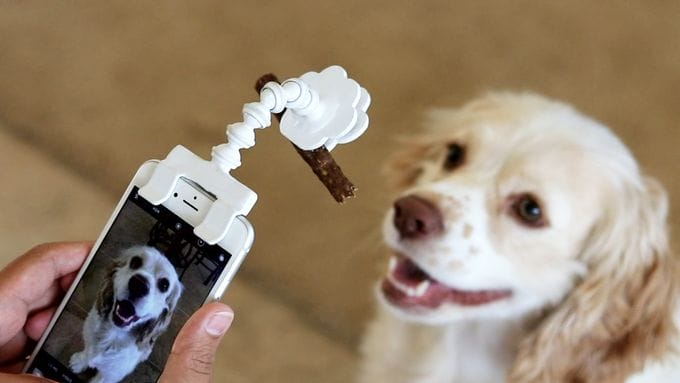 This Phone Attachment Holds A Treat For Better Pet Photos