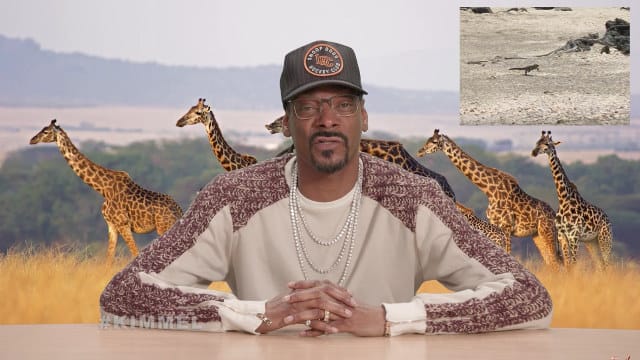 You Have To Watch As Snoop Dogg Narrates Iguana vs. Snakes