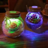 Romantic Illumination – Rose Light Bottle