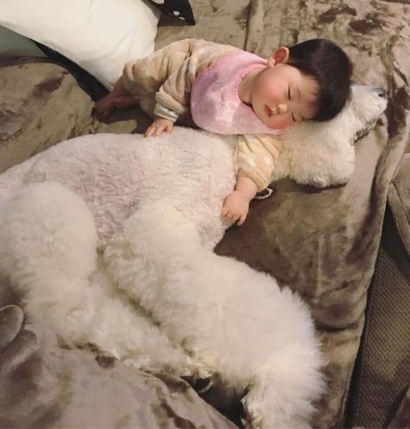 giant dog and baby friendship