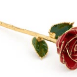 Gold Roses as a Gift?