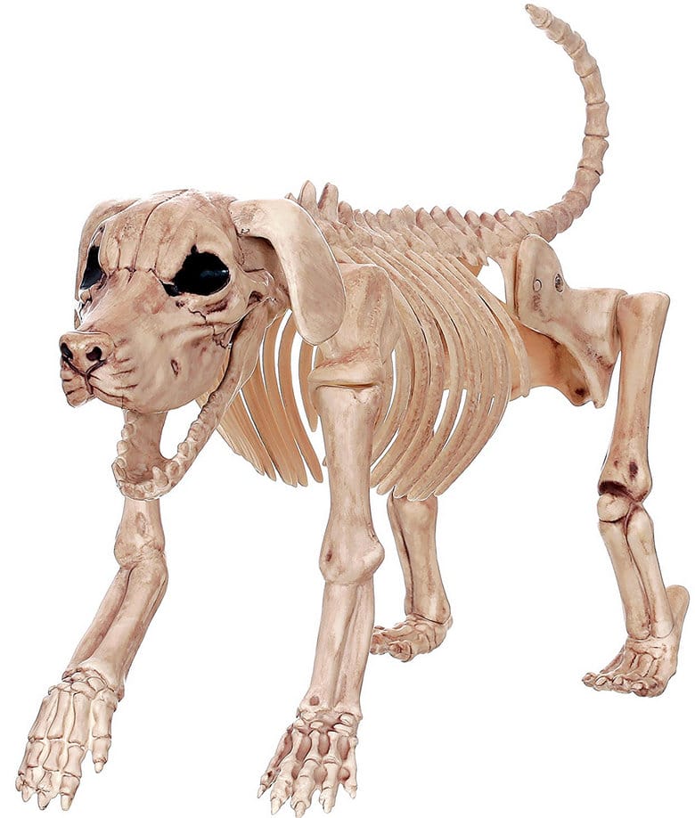 Halloween Bonez Skeleton Dog