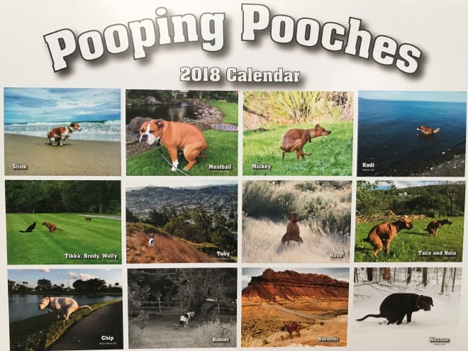 Pooping Dogs Calendar!!! Ohh  Yuck!