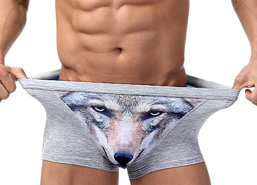 Boxer Briefs with 3D Wolf Print For Men
