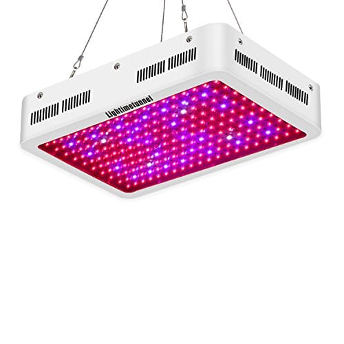 Best LED Grow Lights: How the Top LED Grow Lights are Making Weed Better