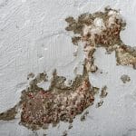 Mold Abatement, Mold Removal and Remediation - What’s the Difference?