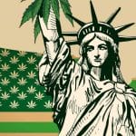The Status of Cannabis Legalization in the United States