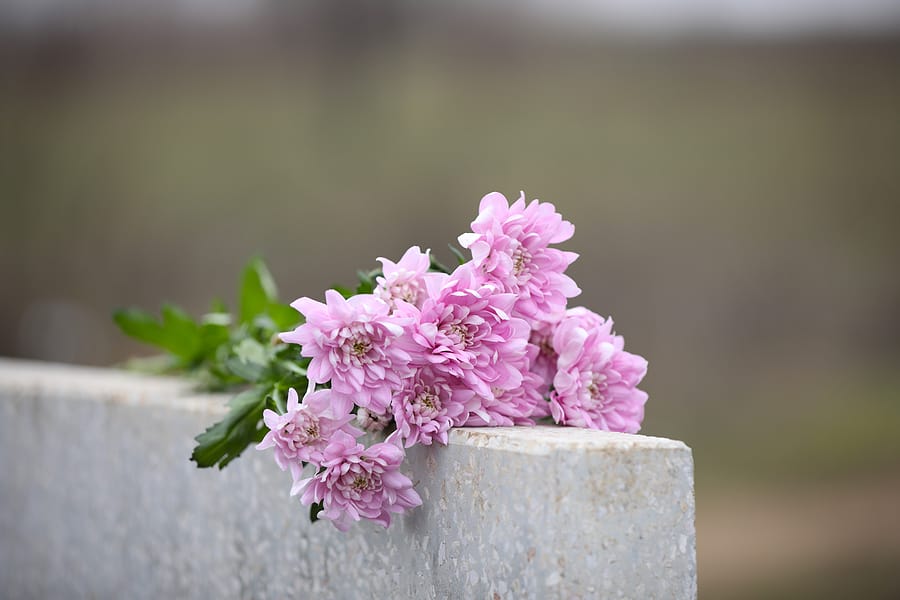What is the meaning of Burial insurance for seniors and how does it work?
