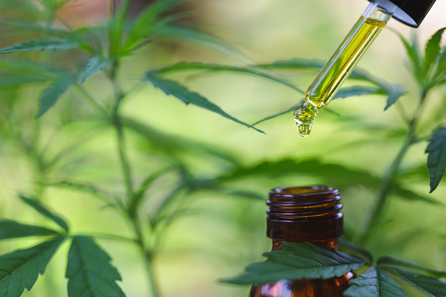 Uses of the CBD Hemp flower