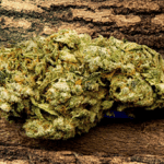 5 Best Medical Marijuana Strains Across the Country