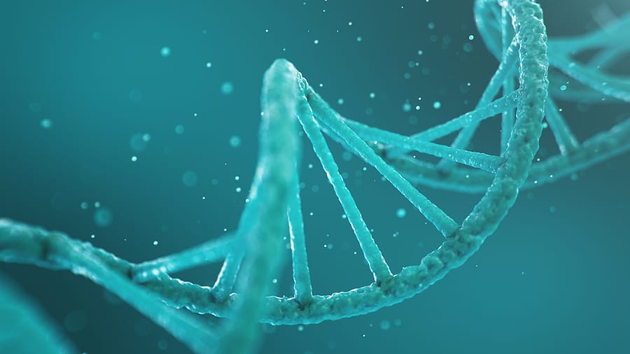 How you can uncover your incredible history with DNA testing