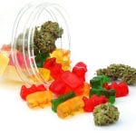 4 Important Things To Know Before Consuming Weed Edibles