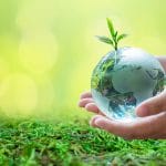 6 Interesting Facts About Sustainable Living That Will Impress You