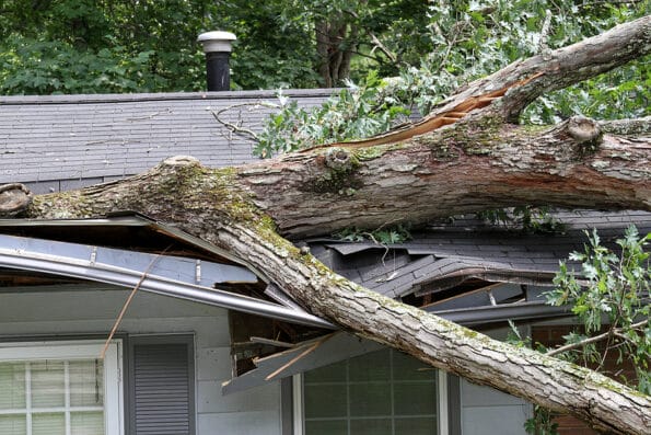 A large oak tree tossed by the winds of a summer storm falls onto and cuts through half of a house roof severely damaging it.