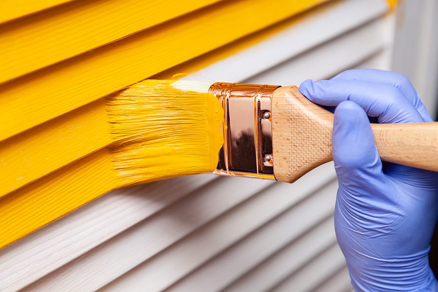 Are You Looking to Paint Your House? Here Are Your Paint Choices