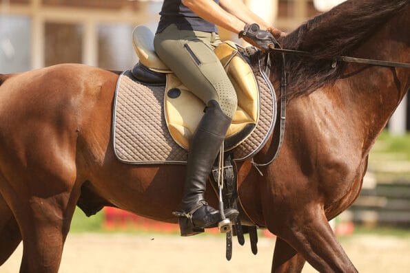 Saddle with stirrups on a back of a horse. Close up of a sport horse. Dressage of horses. Equestrian sport event