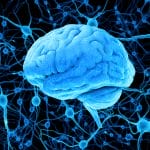 A Better Understanding of How Brain Sensors Work