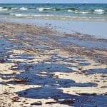 Think Oil Spills Are Only Bad For Seas? Read This To Know How They Impact Human Life