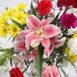 Best Flowers to Send for Different Occasions