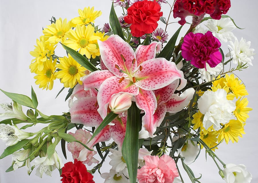 Best Flowers to Send for Different Occasions