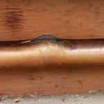 5 Tips to Winterize Plumbing and Pipes