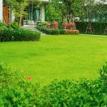 Love A Green Lawn? Here Are 5 Tips For Maintaining A Green Garden