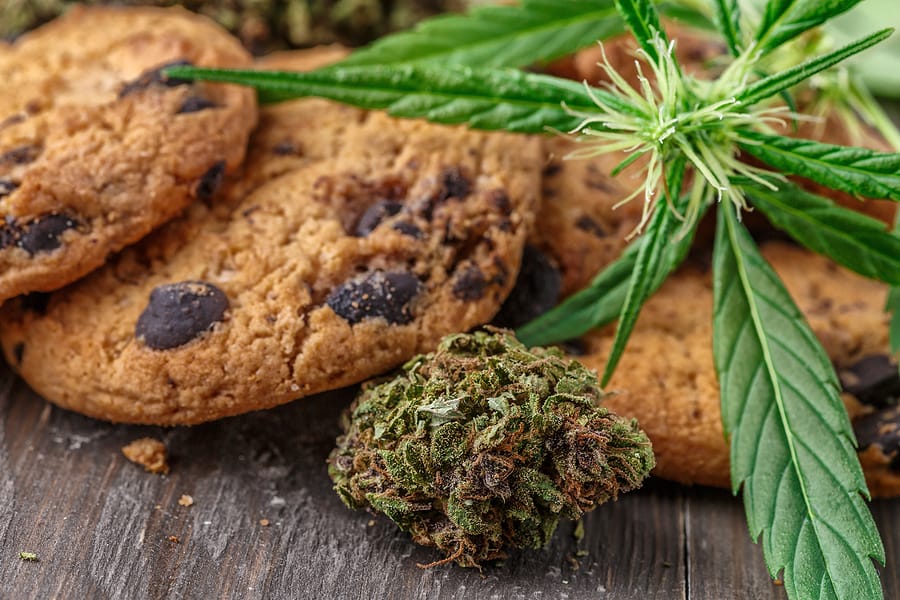 Decarboxylation, or: Why Eating Raw Cannabis Won’t Get You High