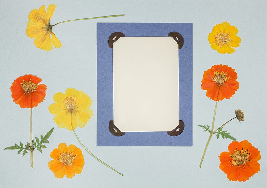 Interested In Scrapbooking? Follow These 7 Simple Steps