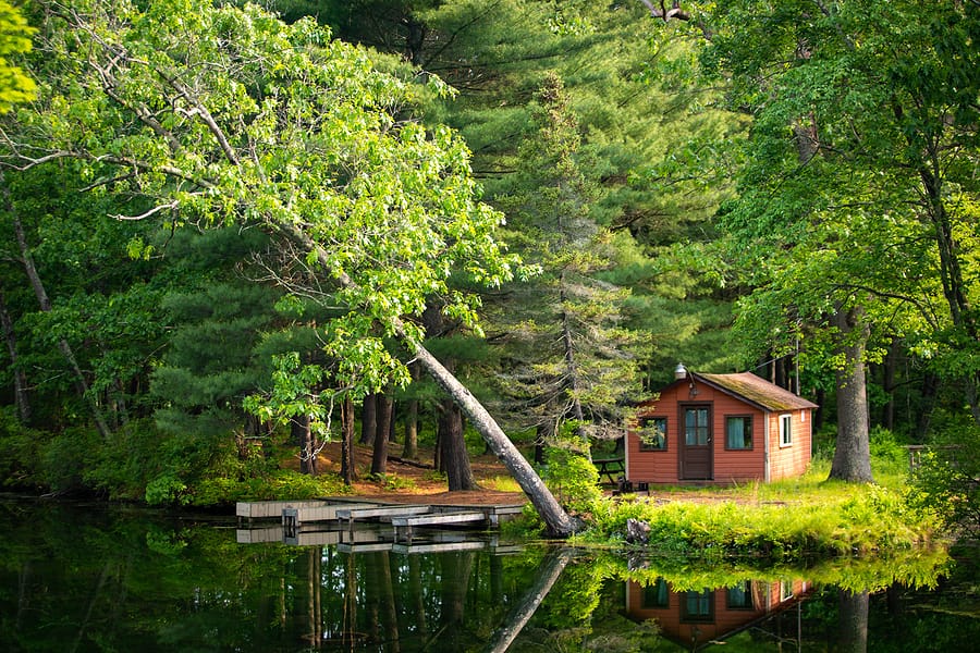 6 Smart Tips On How To Book A Cabin On The Internet