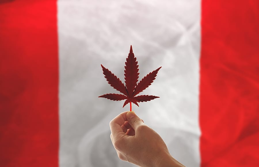 What You Should Know About Buying Cannabis in Canada