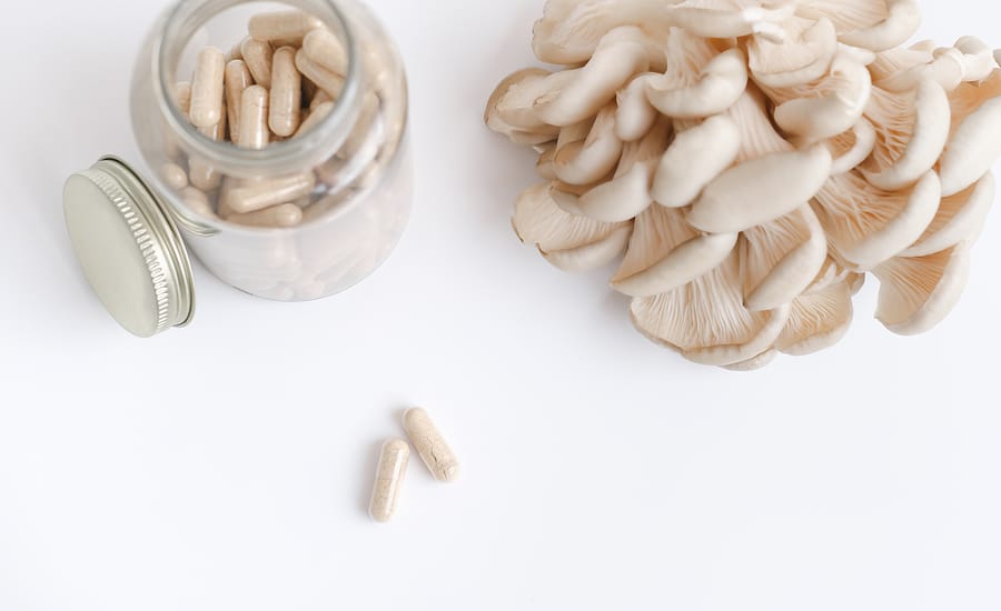 A Walkthrough Medicinal Mushrooms, Types, And Benefits