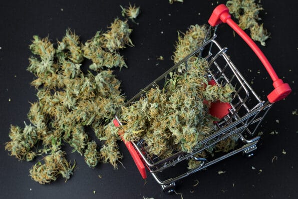 Shopping cart top view full of cannabis buds, marijuana on background with copy space. Buying legal weed online concept. weed online
