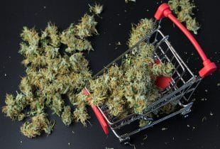 Why Are People Leaning Towards Online Dispensaries In Canada?
