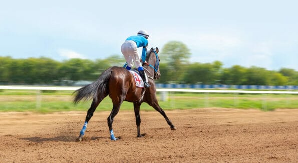Galloping race horse in racing competition. Jockey on racing horse. Sport. Champion. Hippodrome. Equestrian. Derby. Speed