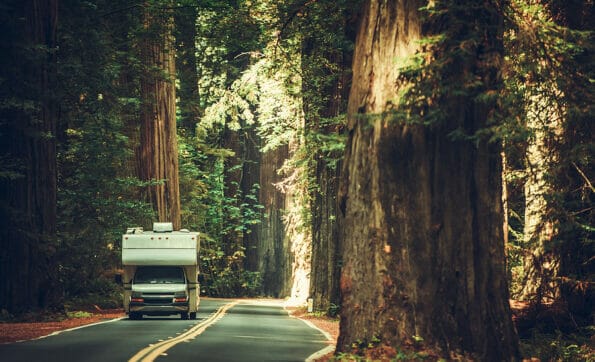 Scenic Northern California Redwoods Region RV Motorhome Road Trip. Class C Camper Van on the Highway of the Giants Along Highway 101, California, United States of America.