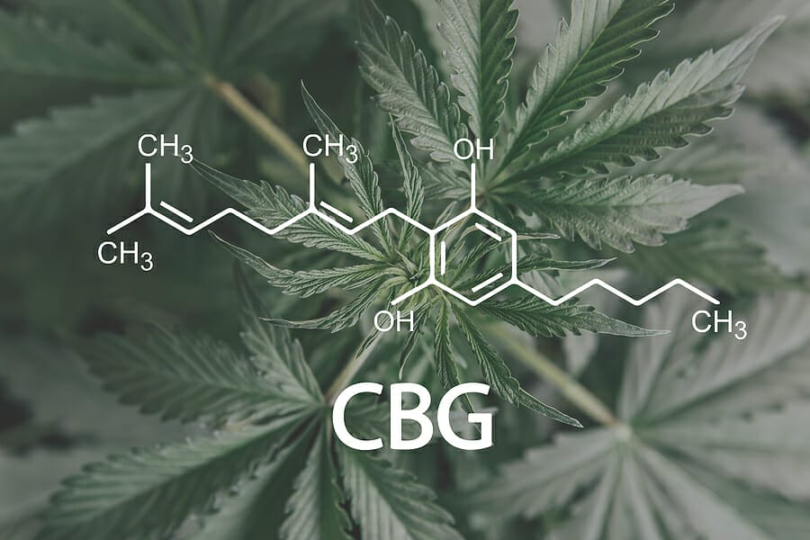 What is CBG, and How is it Different from CBD?
