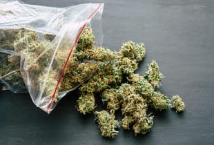 Medical marijuana – buy in Canada