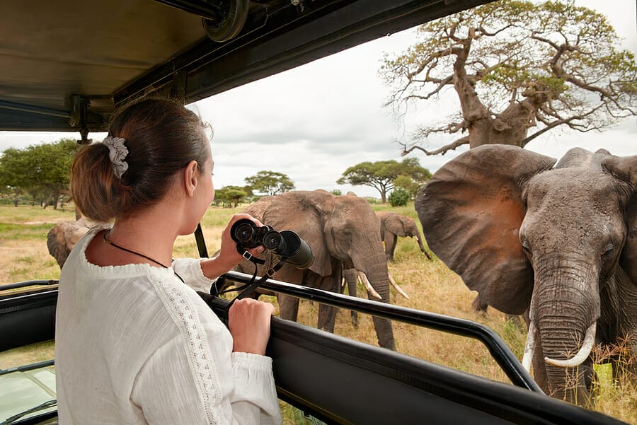 What Conditions Must Be Satisfied Before a Tourist EVisa Can Be Issued for Tanzania?