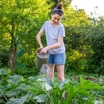 The Best and Hardiest Plants for Newbie Gardeners